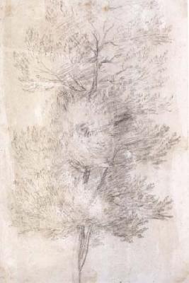 Claude Lorrain A Tree Trunks (mk17) Germany oil painting art